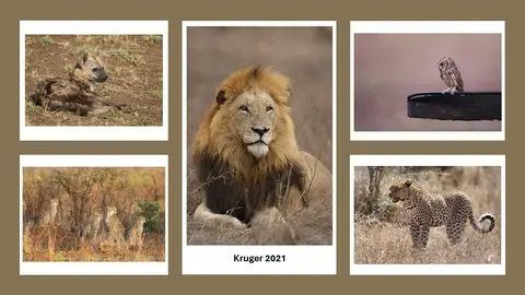 Kruger2021.jpg