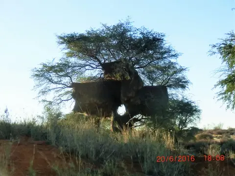 CIMG5092.JPG