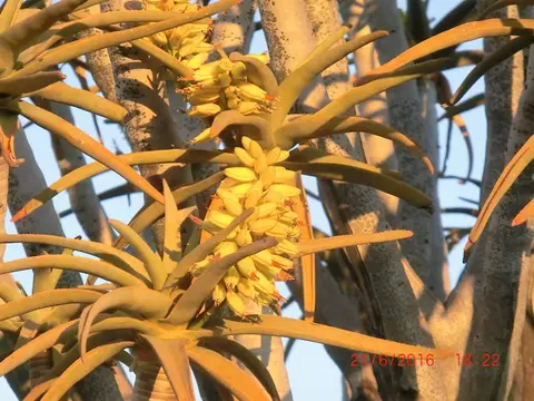 CIMG5267.JPG