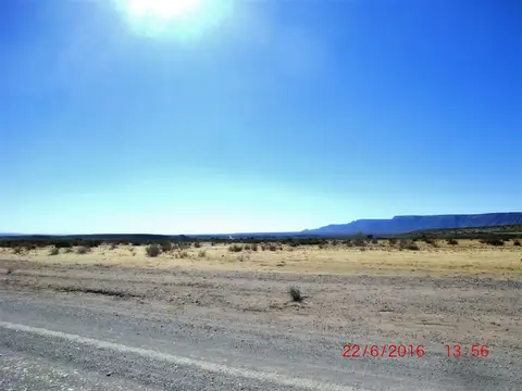 CIMG5315.JPG