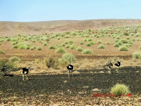 CIMG5317.JPG