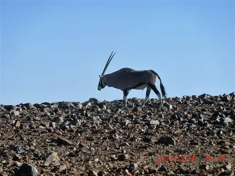CIMG5347.JPG