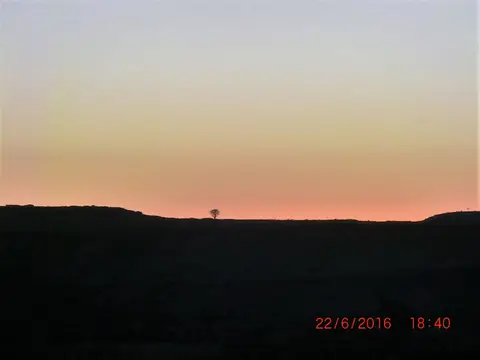 CIMG5372.JPG
