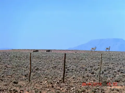 CIMG5881.JPG