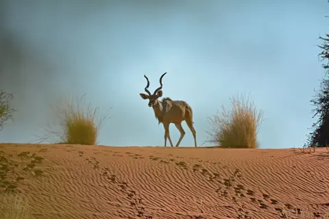 10.JPG