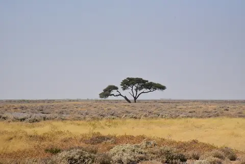 104.JPG
