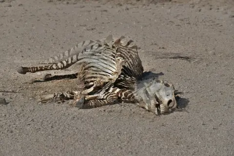 59.JPG