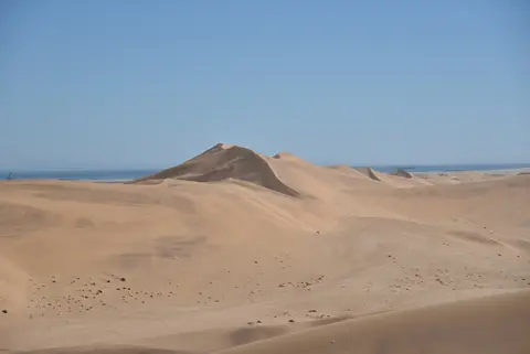 64.JPG