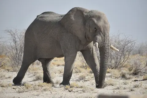 95.JPG