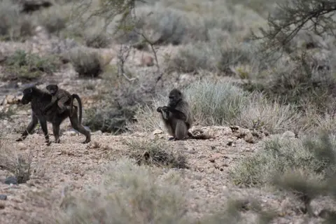 Namibia_2017_20002.jpg