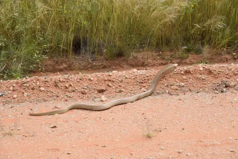 Namibia_2017_20005.jpg