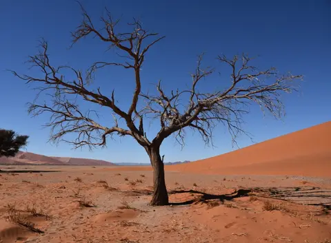 Vlei3.JPG