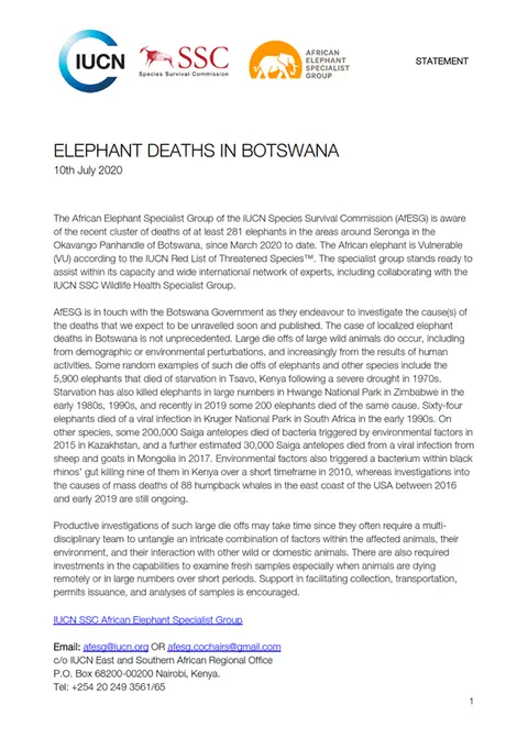 BOTSelephants10072020.png