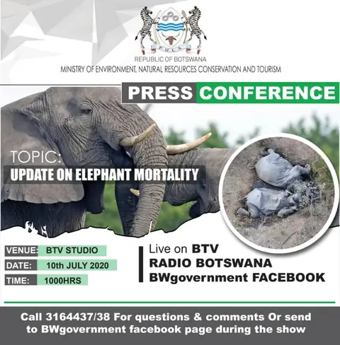 BOTSelephantspc10072020.jpg