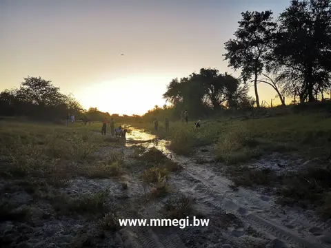 Okavangoflood2020.jpg
