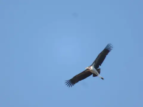 IMG_9915.JPG