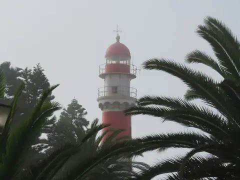 IMG_0795.JPG