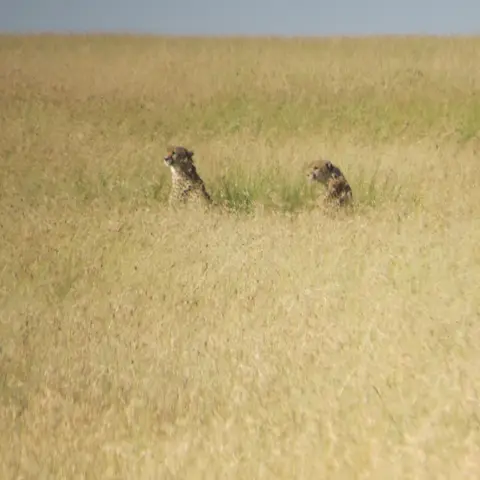 IMG_1357.JPG