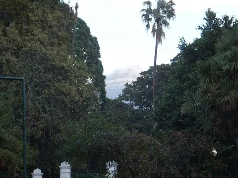 k-DSCF0110.JPG