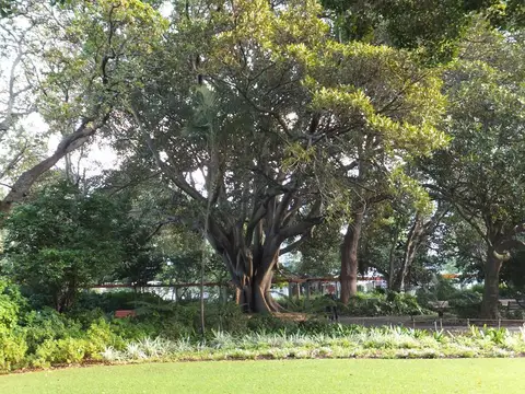 k-DSCF0115.JPG