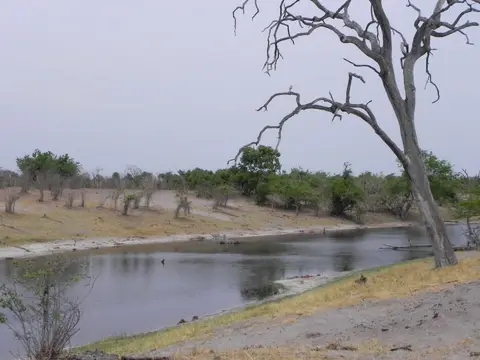 DSCN8674.JPG