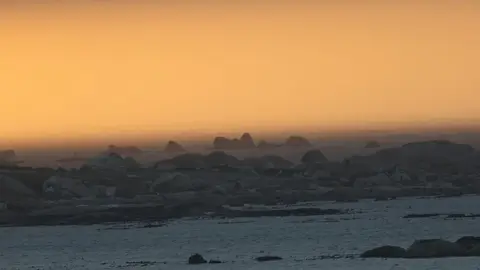 2026SACapetoKTP0758.jpg