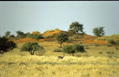 Namibia039-2.jpg