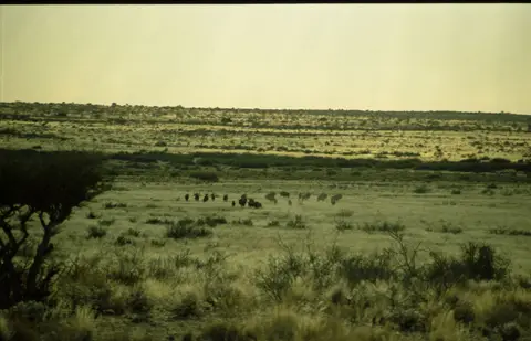 Namibia062-2.jpg