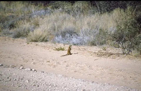 Namibia068-2.jpg