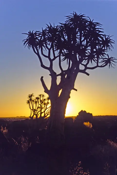 Namibia090-2.jpg