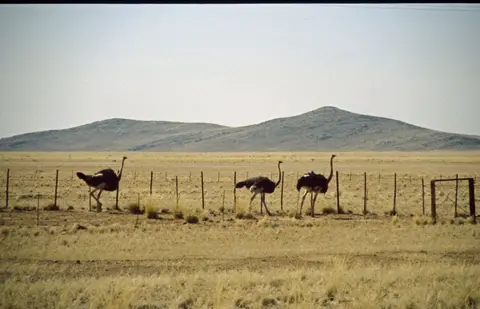 Namibia153.jpg