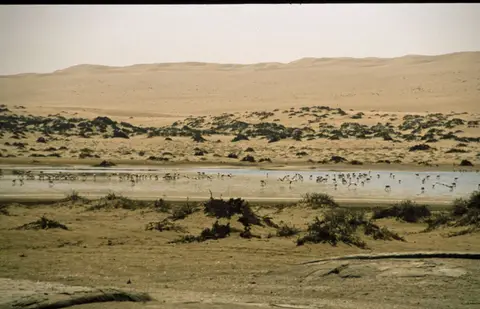 Namibia208.jpg