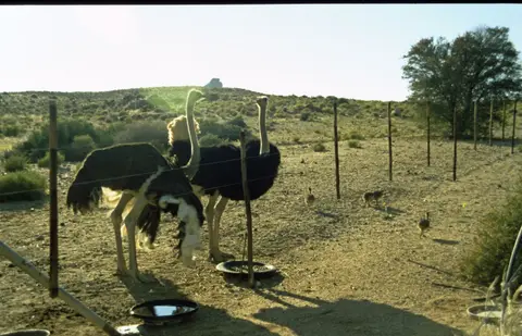 Namibia234.jpg