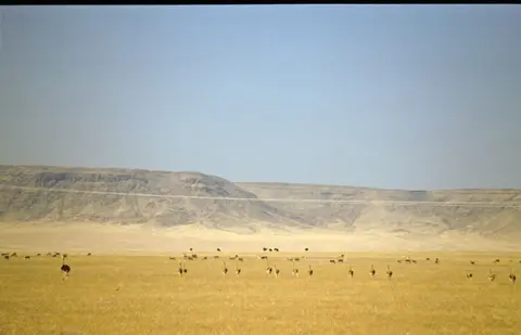 Namibia236.jpg
