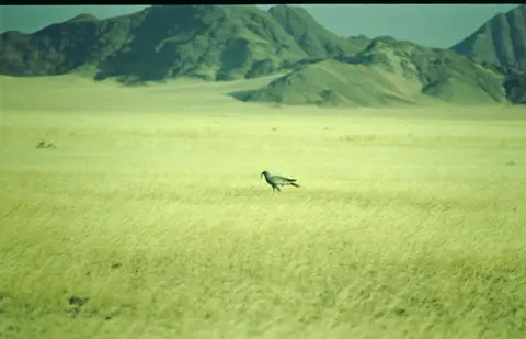 Namibia243.jpg