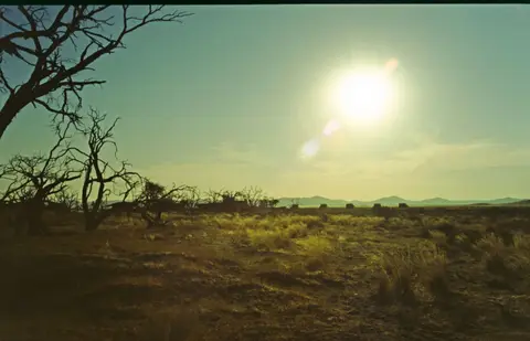 Namibia245.jpg