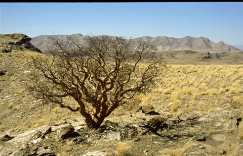 Namibia333.jpg