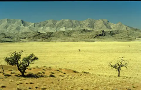 Namibia336.jpg