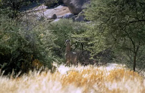Namibia5059.jpg