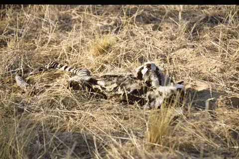 Namibia5076.jpg