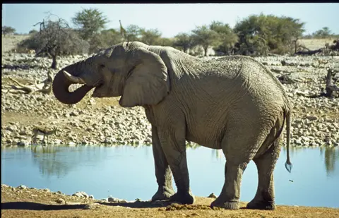 Namibia6094.jpg