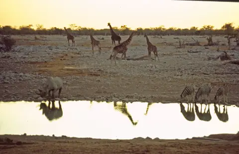 Namibia7011.jpg