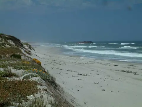 Suedafrika0039.jpg