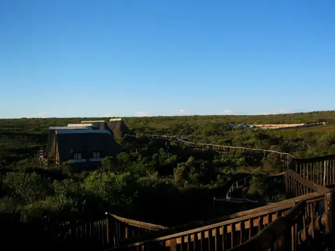 Südafrika066.jpg