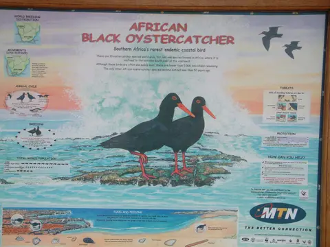 Südafrika114.jpg