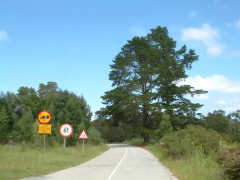 Südafrika267.jpg
