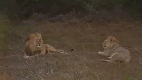 Südafrika473.jpg