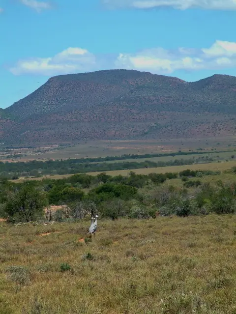 Südafrika515.jpg
