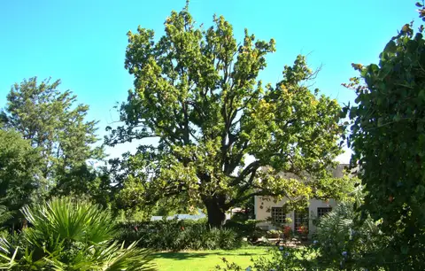 Südafrika674.jpg