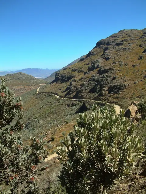 Südafrika762.jpg